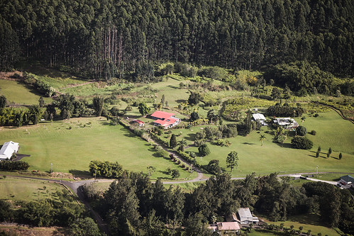 hawaii hiloarea helicopter estate lane treelined road homes houses barn wyojones np