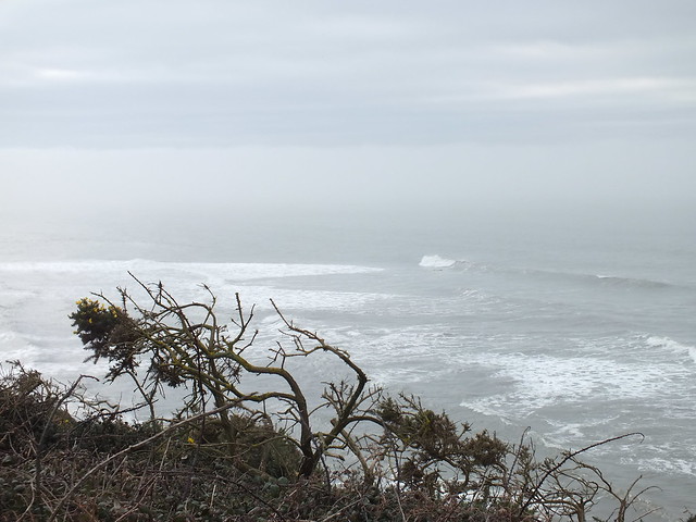 South Wales Coastal Path