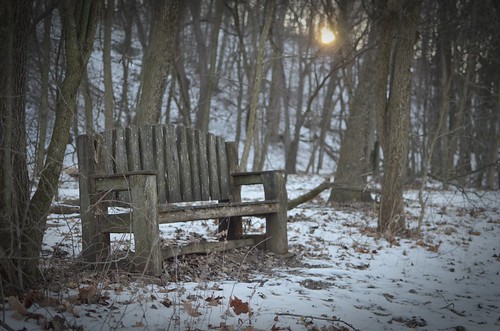 park wood old trees winter light sunset brown sun sunlight white snow nature forest 35mm bench outdoors photography wooden illinois woods nikon dusk walk rustic january hills peoria forestpark 2013 d5100