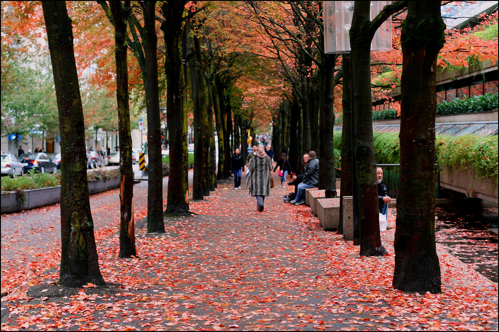 autumn colours downtown | Downtown, Vancouver. | momotaroz | Flickr