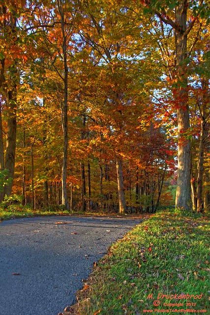 An Autumn Drive