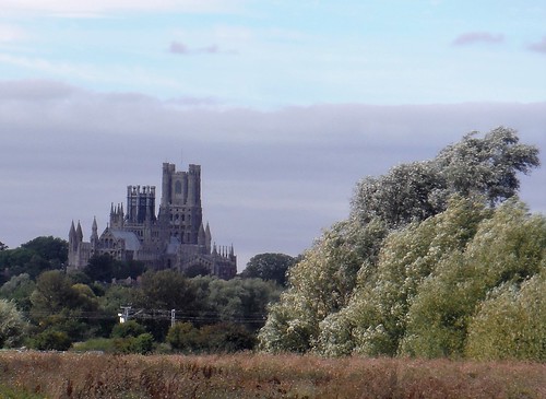Ely Cathedral from River Great Ouse, near Cuckoo Bridge SWC Walk 118 Ely Circular (off-route off the Ely Extension) 