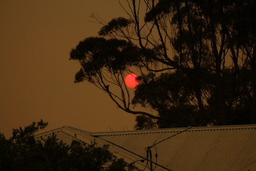 IMG 5407 Late Afternoon Red Sun by Eminpee Fotography,
The Sun occasionally appears red on the horizon due to the disfiguring refraction caused by the lay