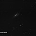 Spindal galaxy imaged by Alan Meehan