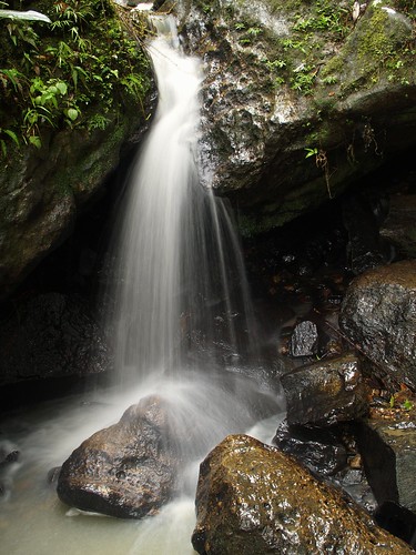 trees nature waterfall rainforest rocks natural puertorico sanjuan elyunque zuiko olympuse1 olympuszd25mmf28lens