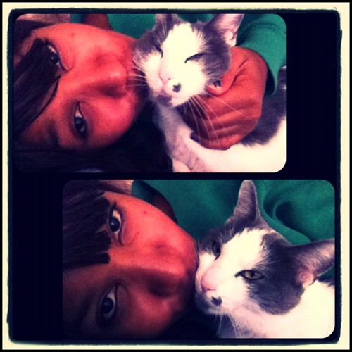She loves kisses  #kitty #cat #nai my #baby #snuggle #butt #pets #catsofinstagram #instacute #instagood #picframe #new #filters Holla!  #prenap #lovin | by girlwith_thesmile19