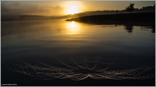 halloween fog sunrise spiderweb bluemarshlake d5100