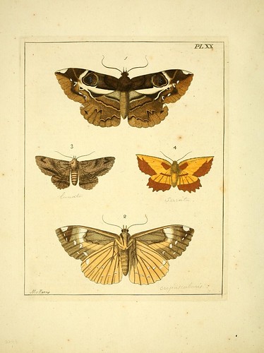 n115_w1150 | Illustrations of natural history.. London,Print… | Flickr