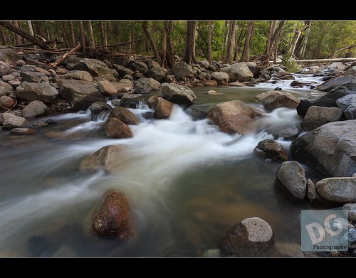water creek au australia queensland cedarcreek