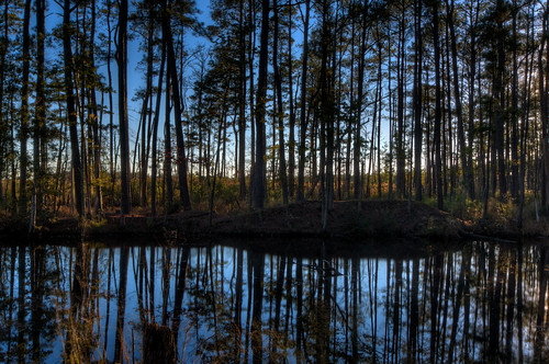 county blue trees sunset orange alex water pond woods nikon maryland shore harriet blackwater eastern hdr dorchester tubman d300s thechallengefactory erkiletian