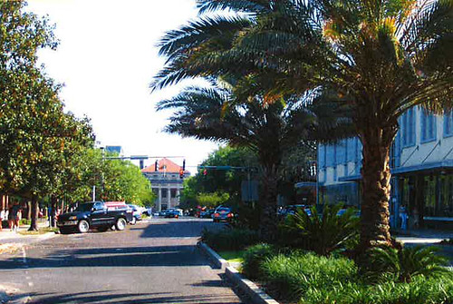 A shot of Downtown Gainesville showing a city street