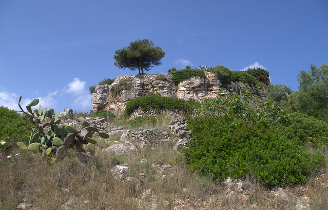 the two apulian personalitrees with a view