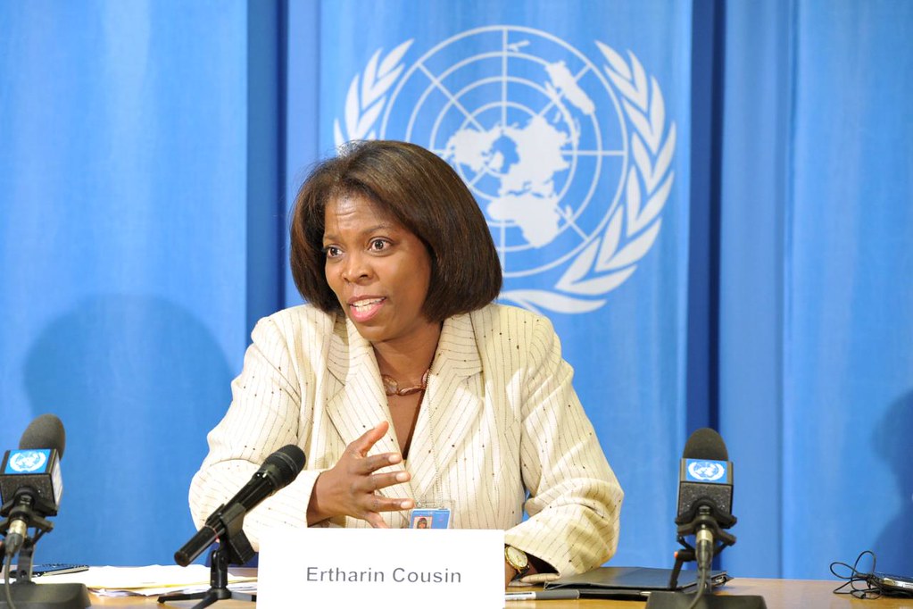 ertharin cousin net worth