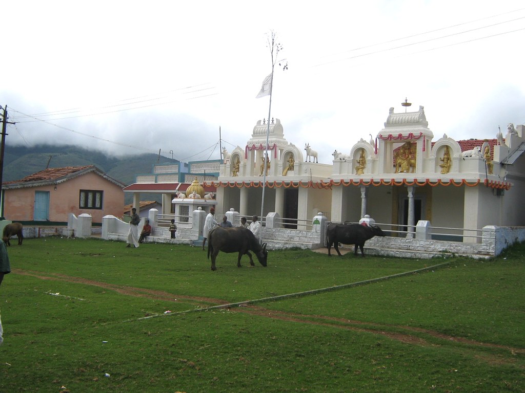 Temple and Holy Animals | Ooty, India. | Prof. TPMS | Flickr