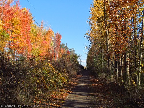 Fall colors along the Hojack Trail in Webster, New York