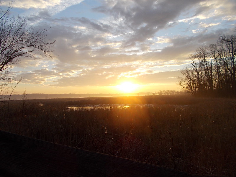 Dyke Marsh Sunrise