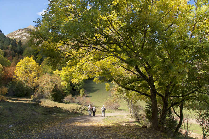 Paseo otoñal / Autumnal walk