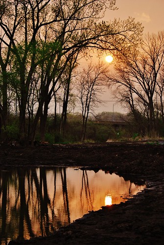 Wetlands Sunset by DiNardo Designs1, Standing on the board walk at Heron Haven looking west after the dredging of the wetlands.