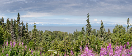 panorama usa alaska america unitedstates northamerica amerika alaskarange stiched cookinlet mountiliamna clamgulch mountredoubt sterlinghighway vereinigtestaaten nordamerika chigmitmountains aleutianrange thelastfrontierstate aleutenkette alaskakette