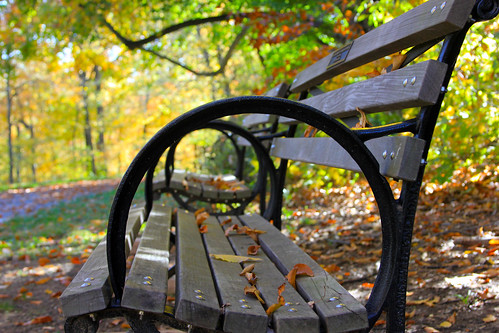 Autumn In Cherokee Park (part 1) | by LuAnn Snawder Photography