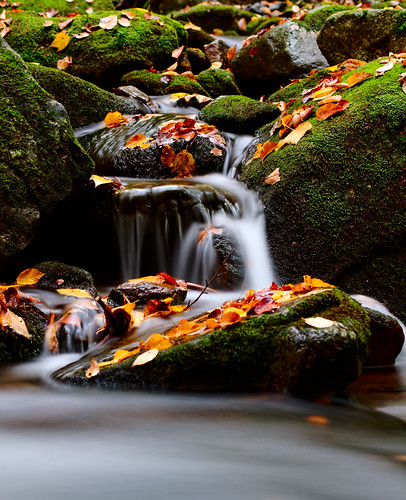longexposure autumn usa fall leaves geotagged waterfall soft newengland