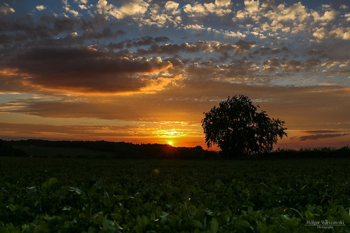 deutschland ennepetal feld nrw sommer sonnenuntergang wiese clouds meadow sky summer sun sunset