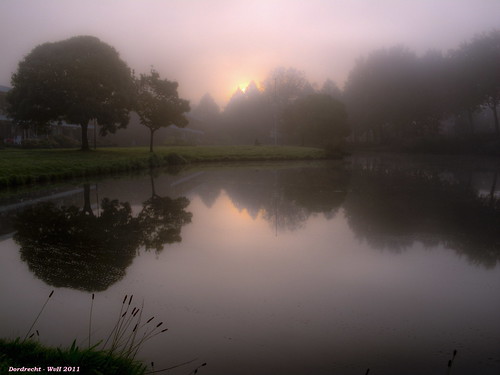 trees dutch fog sunrise reflections dawn ponds lanscape
