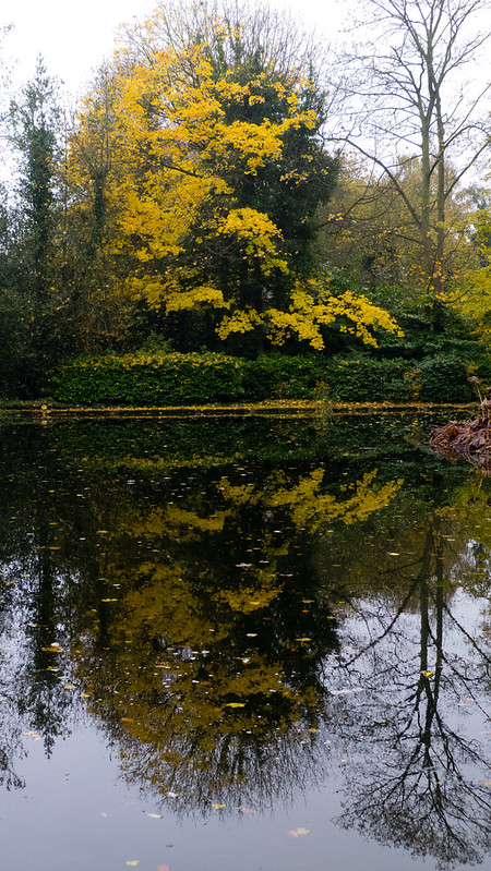Autumn reflections, Wightwick Manor
