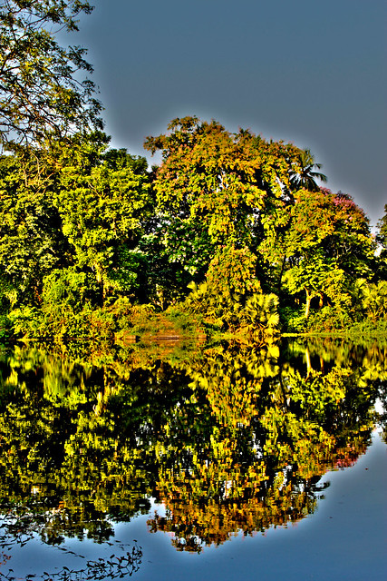 Reflections of Nature II