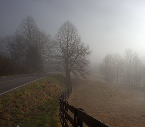 trees mist fog rural landscape nebel scenic northcarolina