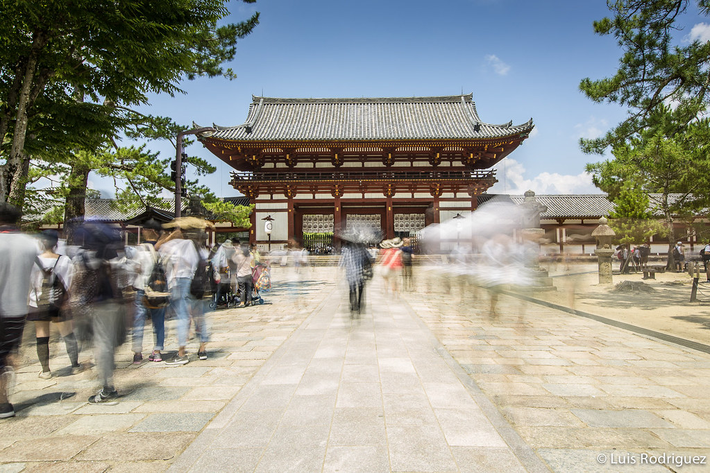 Ciervos y turistas en el parque de Nara