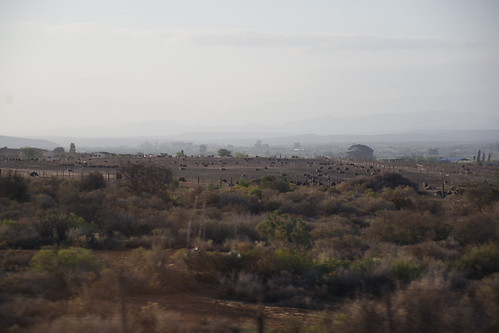 South African City