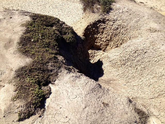 Erosion, San Gregorio Beach