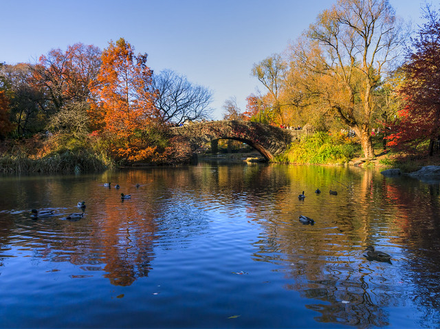 Autumn on the Pond (P1440431-1_2-2_3-3_4-4_5-5_tonemapped)