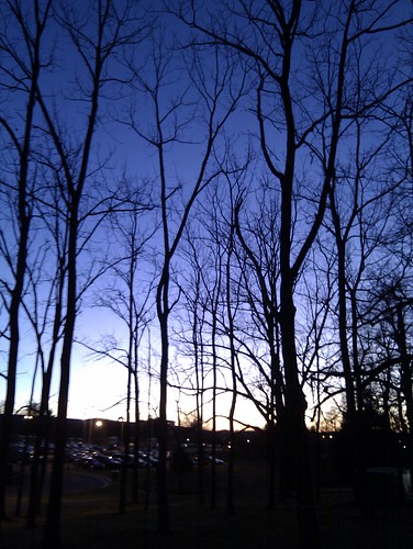 blue trees sunset usa phonecam virginia android blacksburg virginiatech project365 sooc 3652012 htcdesire flickrandroidapp:filter=none