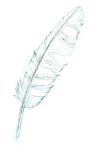 Feather_final