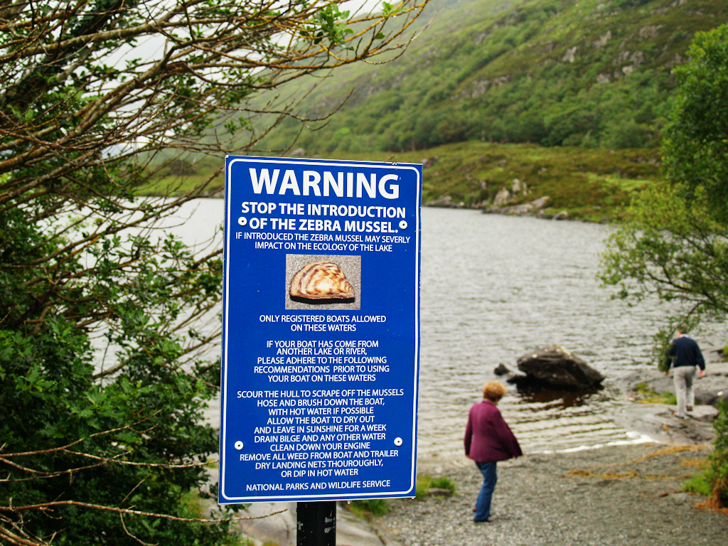 Mussel Danger. Photo by Viv Lynch; (CC BY-NC-ND 2.0)