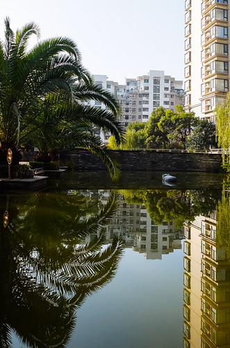 Reflections | by E_O_S