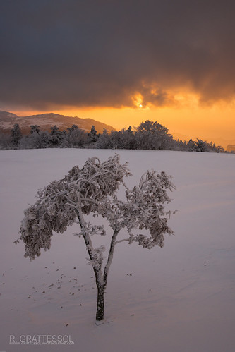 Sunset aux Limouches by R. Grattessol Photographie, L'hiver est bien arrivé sur le Vercors avec ces arbres qui doivent résister au froid pour survivre. 