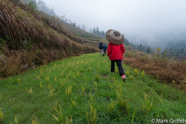 Striding Along