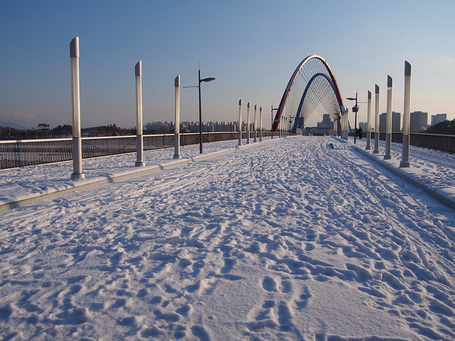 Snowy-Expo Bridge-Daejeon-South Korea