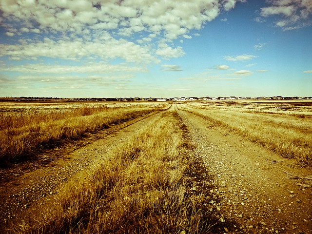 the prairies