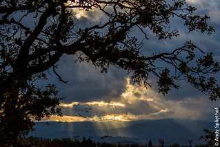 Sundown in Southern Oregon November skies