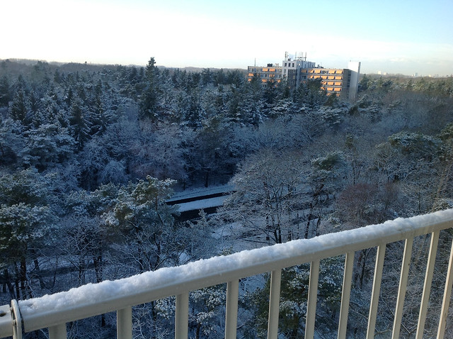 Winter in Holland, December snow, Zeist - iPad 297