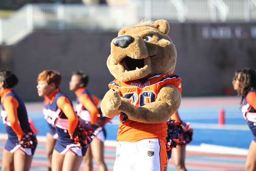 Morgan State University mascot by Kevin Coles.
