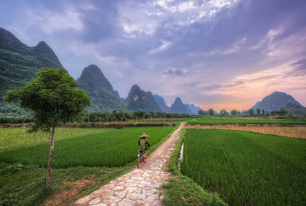 Yangshuo Cyclist