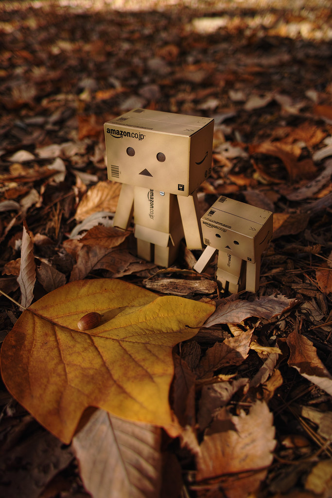 Danbo and an acorn