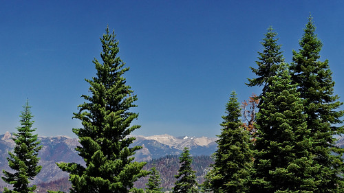 panorama panoramic slot view vista snow sequoianationalpark california nationalpark nature green blue scuthography