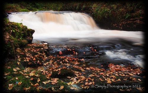 orange green water grass leaves river moss rocks branch slowshutterspeed clareglens cotipperary greenscene simplyphotography siobhanhayes