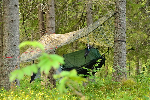 hammock ddhammock basha shelter camping outdoors sleeping outdoor camp hammocks frontline frontlinehammock mosquitonet mosynet green forest forrest trees woods woodland scandanavia bushcraft active activity activeholiday northerneurope nature landscape tree background wood sunlight natural sun sunny beautiful scene travel morning park sky hills wild summer misty pine environment scenic day plant shine mysterious spruce path haze view foliage sunshine wilderness coniferous rural valley leaf bright forestmountain beautifulforest